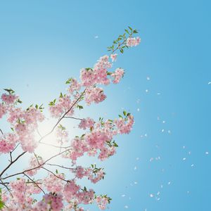 亚洲性爱电影av
