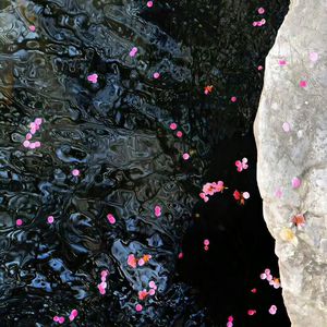 亚洲性爱电影av
