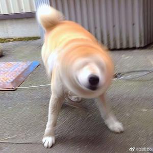 亚洲性爱电影av
